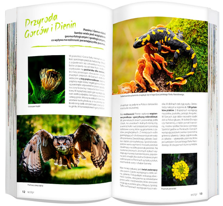 Gorce i Pieniny zestaw przewodnikowy 2w1 light 2024