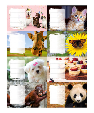 Naklejki na zeszyty Girls 24 szt