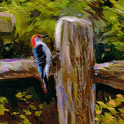 Puzzle 1000 CherryPazzi The Golden Valley 30493