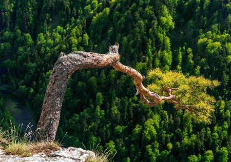 Kalendarz 2026 Krajobrazy polski KA-7