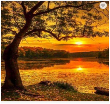 Diamentowa Mozaika Zachód słońca nad moczarami NO-1007414