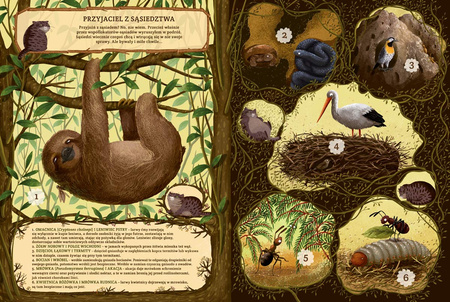 Niezwykłe przyjaźnie w świecie roślin i zwierząt wyd. 2025