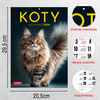 Kalendarz 2026 Koty A4 ścienny