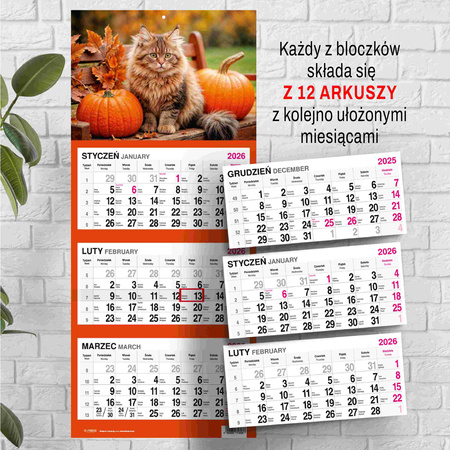 Kalendarz 2026 trójdzielny Kot