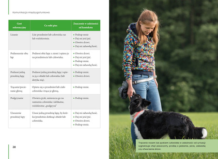 Jak rozmawiać z psem