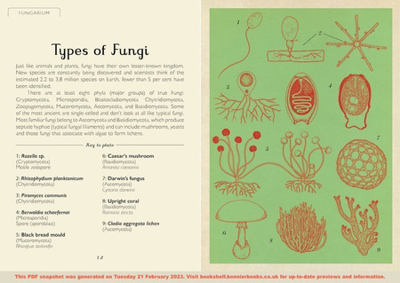 Fungarium (Mini Gift Edition)