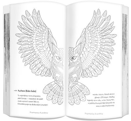 Moje szkice podróżne Karkonosze