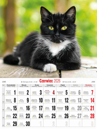 Kalendarz 2026 Koty KSMS-4