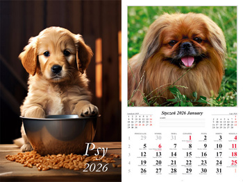 Kalendarz 2026 ścienny 13-k Psy