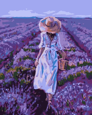 Malowanie po numerach Pole lawendy 40x50 cm