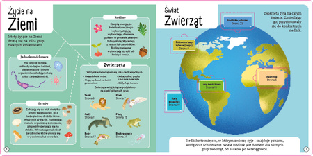 Wspaniałe zwierzęta. Otwórz okienko