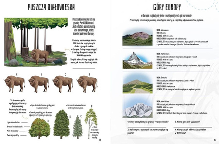 Niezwykły świat zwierząt. Zagadki, labirynty i inne zabawy