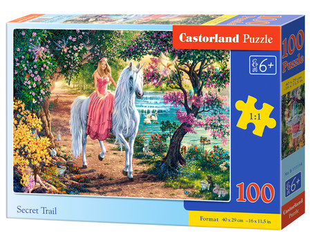 Puzzle 100 Sekretny szlak B-111114