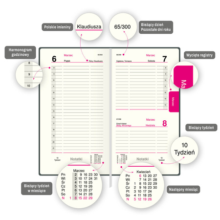 Organizer 2026 B5 dzienny 1szt.mix
