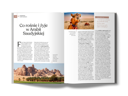 Arabia Saudyjska. Złota Seria