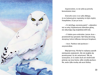 Pogoda dla puchaczy. Zima