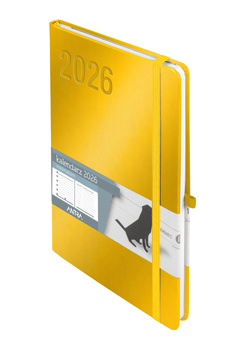 Kalendarz 2026 Minimalizm A5 TNS złoty