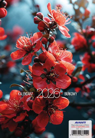 Kalendarz 2026 A5 biurkowy KBA5 1szt.mix