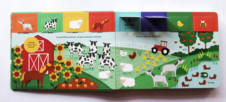 Zwierzęta. Akademia mądrego dziecka. Znajdź, otwórz, zobacz