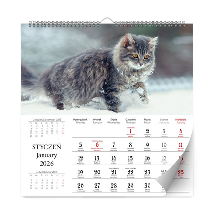 Kalendarz 2026 Kociaki ścienny lux