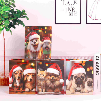 Torebki prezentowe BN 12 sztuk mix wzorów WK 22549 L