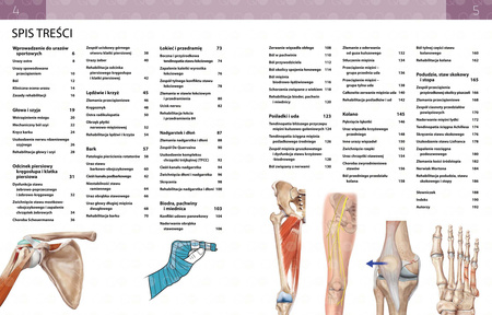 Anatomia urazów sportowych