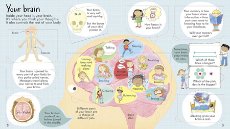 Look inside your body wer. angielska