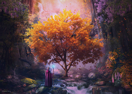 Puzzle PQ 1000 Cameron Gray Magia lasu 112951