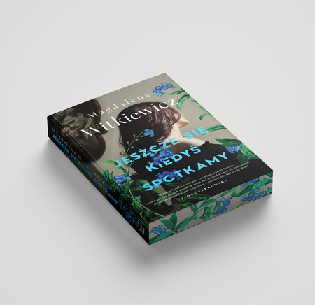 Jeszcze się kiedyś spotkamy (ilustrowane brzegi)