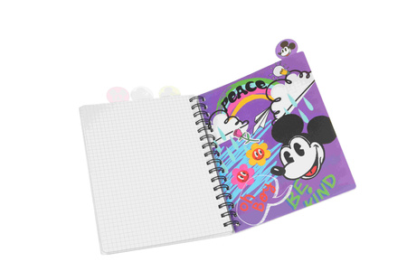 Kołobrulion A5 Disney fashion Minnie 100 kartek 1szt. mix