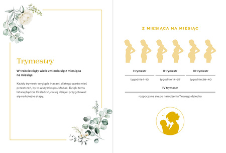 Planer przyszłej mamy