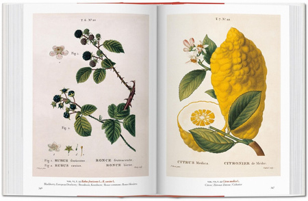 A Garden Eden. Masterpieces of Botanical Illustration. 40th Ed. wer. angielsko-francusko-niemiecka