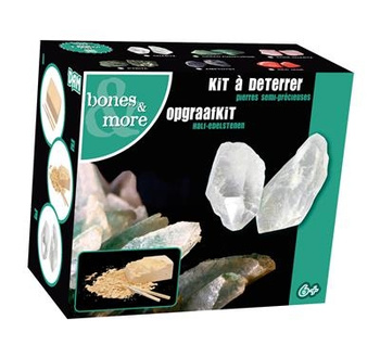 Kamień wykopaliska Bones&more