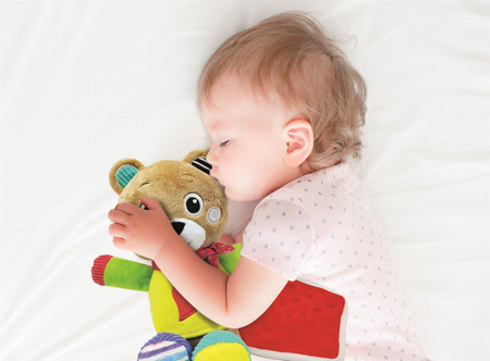 Mój przyjaciel miś 17831