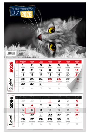 Kalendarz 2026 dwumiesięczny ścienny lux 1szt.mix