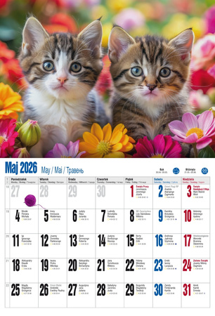 Kalendarz 2026 ścienny albumowy Kocie fanaberie KSA V2