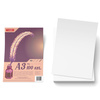 Papier Brystol A3 100 ark.170g
