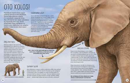 Duże i małe. Od kałamarnicy kolosalnej po płatki śniegu. Młodzi przyrodnicy