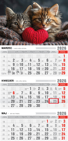 Kalendarz 2026 trójdzielny ekonomiczny Kotki KTE VE19