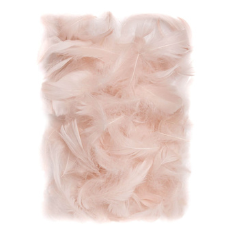 Piórka nude 5-12cm 10g