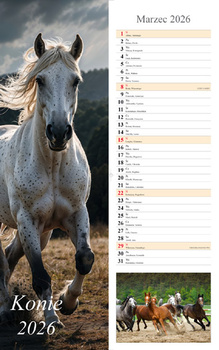 Kalendarz 2026 paskowy Konie