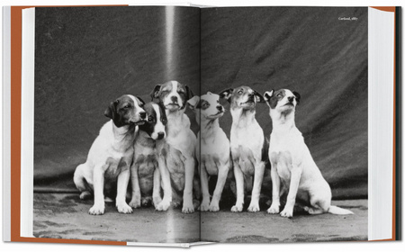 The Dog in Photography 1839-Today wer. angielska