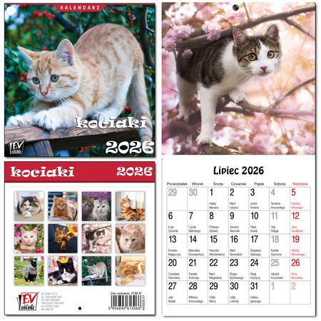 Kalendarz 2026 dla dzieci 13 planszowy Kociaki