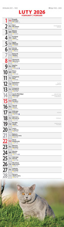 Kalendarz 2026 Koty KP-2