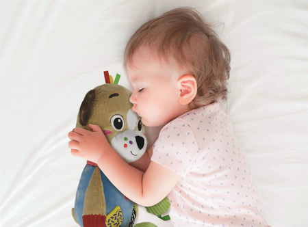 Mój przyjaciel piesek 17833