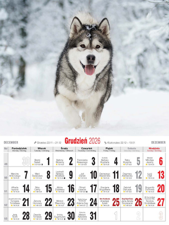 Kalendarz 2026 Psy KSM-3