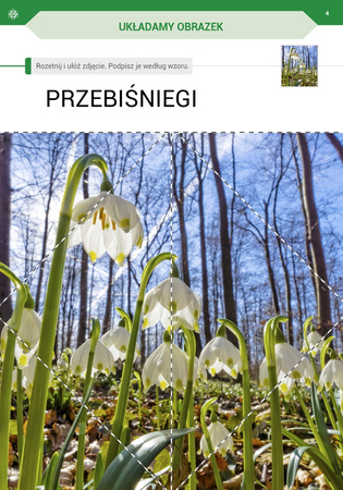 Przyszła wiosna Karty pracy dla I etapu nauczania uczniów z niepełnosprawnością intelektualną w stopniu umiarkowanym
