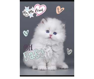 Paczka Zeszyt A5 16k 3-linia kolorowa my little friend mix pakiet 15 szt.