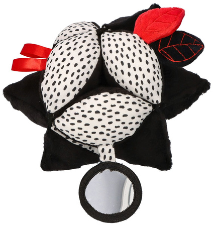 Piłka Takana z lusterkiem kontrastowa