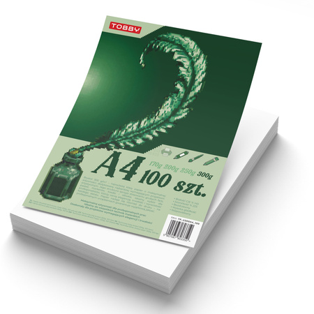 Papier brystol A4 100 ark.300g